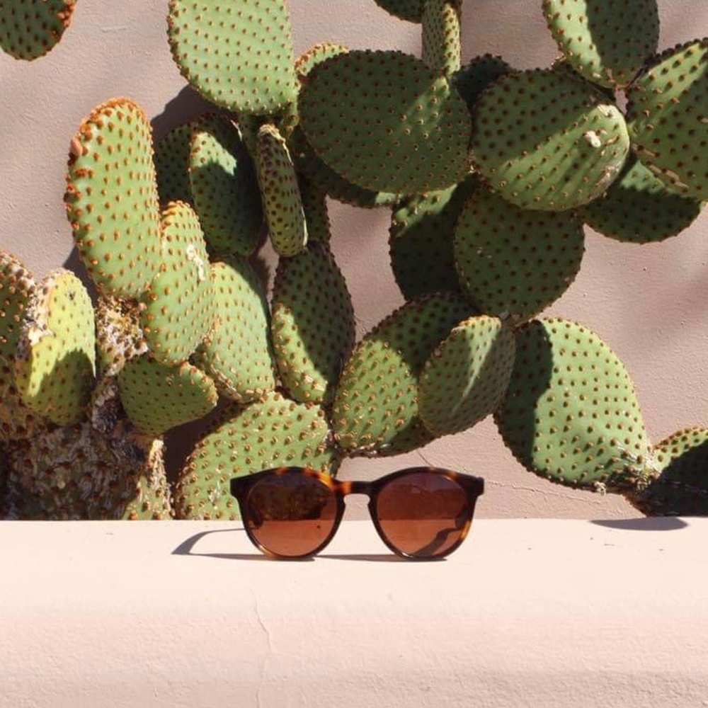 Tortoise & Blonde MALTA Sunglasses